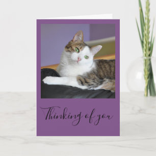 Die Tabbykatze, die an Sie denkt, kardieren Karte