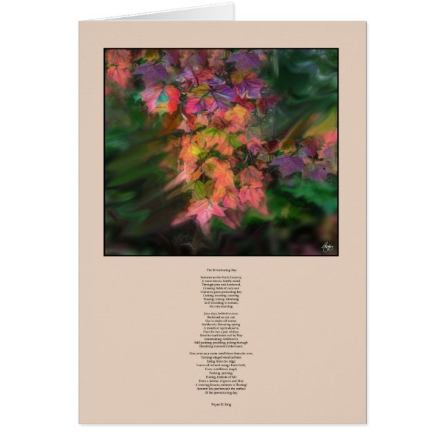 Die Tageskarte für den Präventivzeitraum (Vorne)