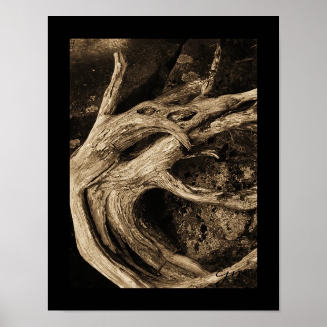 Die Tänzer Poster (Vorne)