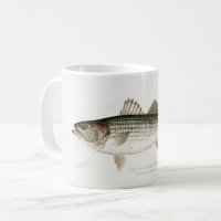 Die Tasse des gestreiften Bass Fisherman