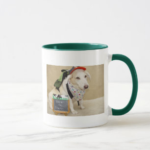 Die Tasse des Lehrers