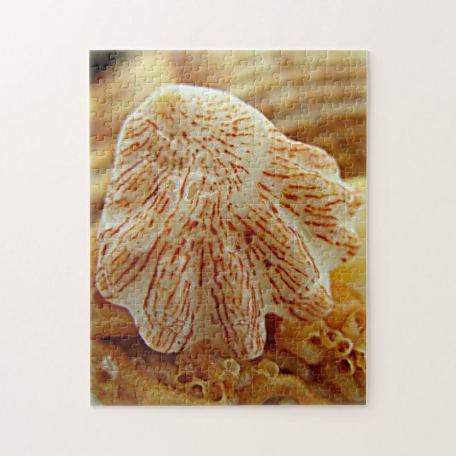 Die Tatzen-Muschel-Puzzlespiel des Kätzchens Puzzle (Vertikal)