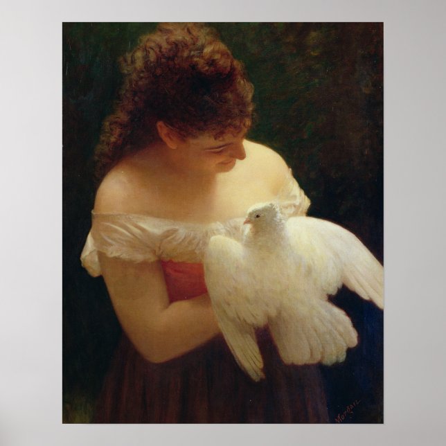 Die Taube Poster (Vorne)