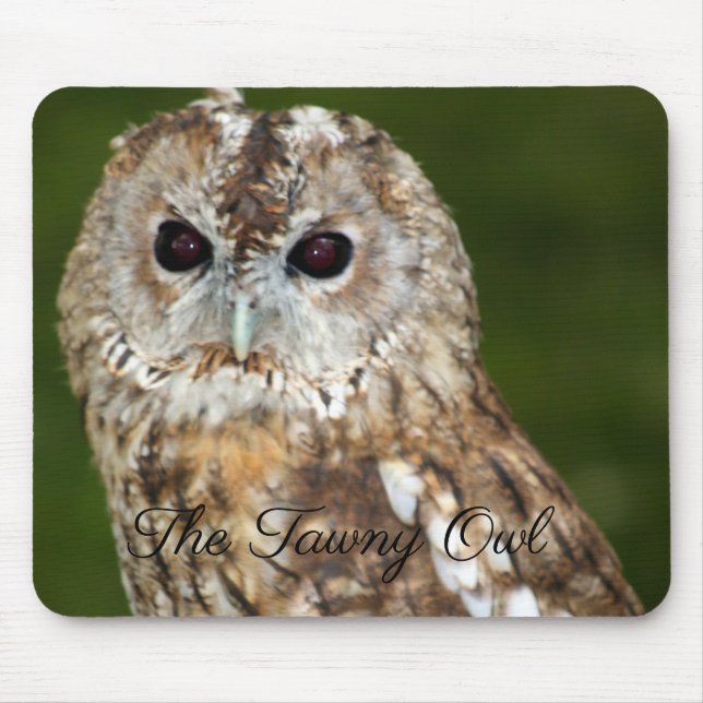 Die Tawny Owl Mousepad (Vorne)