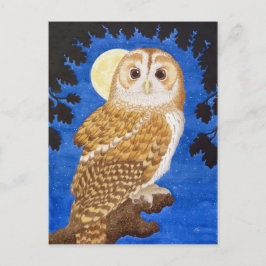 Die Tawny Owl Postkarte