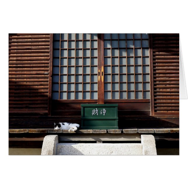 Die Tempelkatze (Vorderseite (Horizontal))