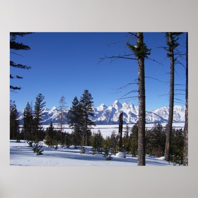 Die Tetons im Februar Poster (Vorne)