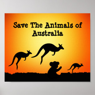 Die Tiere in Australien gerettet Poster