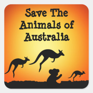 Die Tiere in Australien gerettet Quadratischer Aufkleber