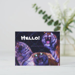 DIE TIGERE-Postkarte Postkarte