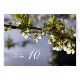 Die Tischnummer der Weißkirschblüten am Abend.