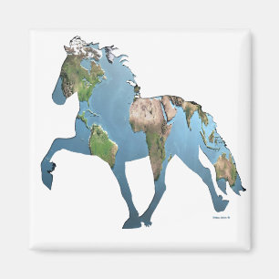 Die Tolonierung der Welt Magnet