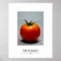 Die Tomate