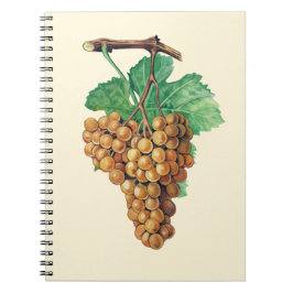 Die Trauben "terret blanc", Farbe: buttercream Notizblock
