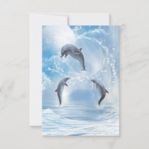 Die Träume der Delphine