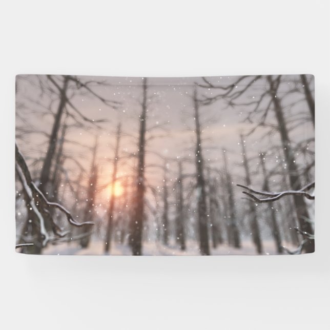Die Traumfahne einer Winter-Nacht Banner (Horizontal)