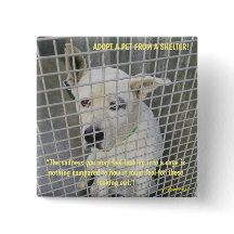 Die Traurigkeit, die Sie in einem Hund sehen