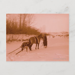 Die Travois Postkarte