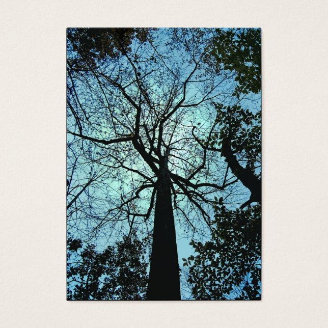 Die Tree-ATC (Vorderseite)