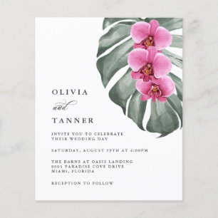 Die tropischen Orchideen von Monstera