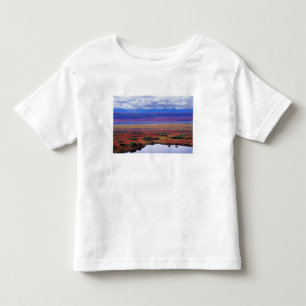 Die Tundra des Denali-Nationalparks im späten Kleinkind T-shirt
