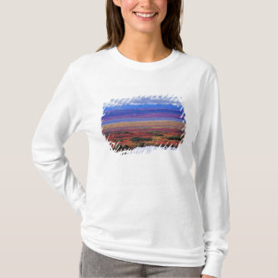 Die Tundra des Denali-Nationalparks im späten T-Shirt