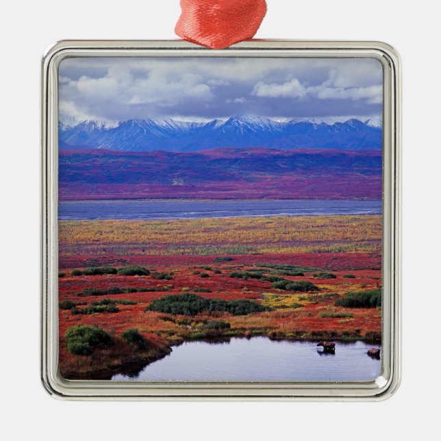 Die Tundra des Nationalparks von Denali in der spä Silbernes Ornament (Vorne)