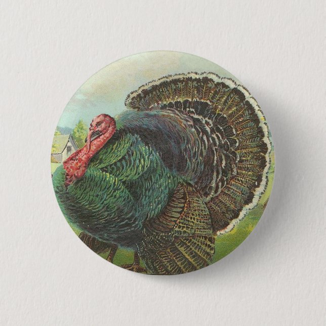 Die Türkei Button (Vorderseite)
