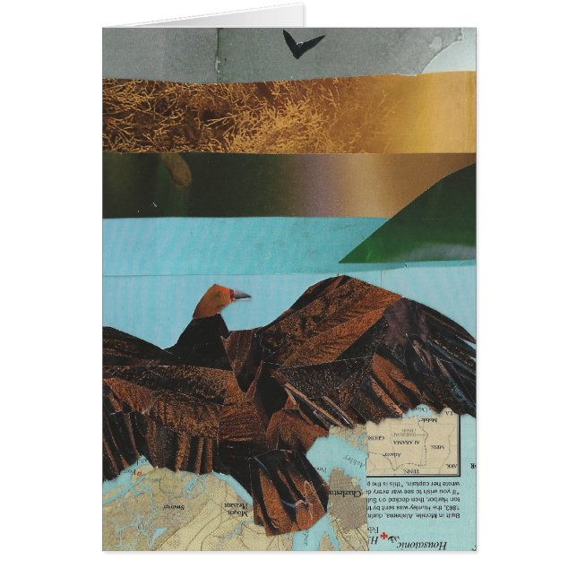 Die Türkei-Geier (Vorne)