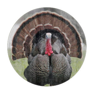 Die Türkei-Glasschneiden-Brett Schneidebrett