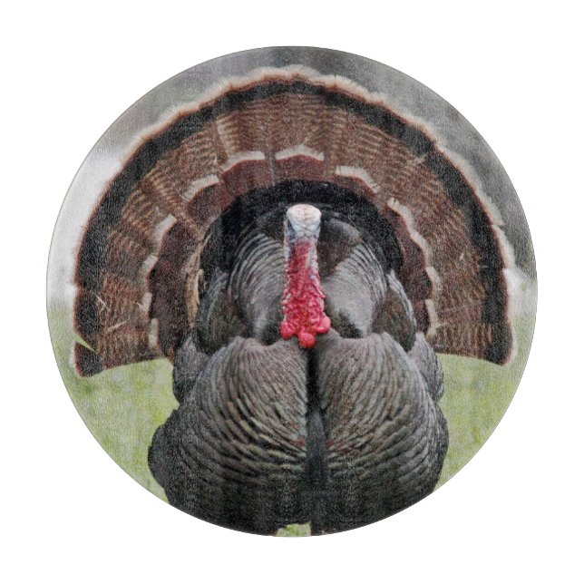 Die Türkei-Glasschneiden-Brett Schneidebrett (Vorderseite)