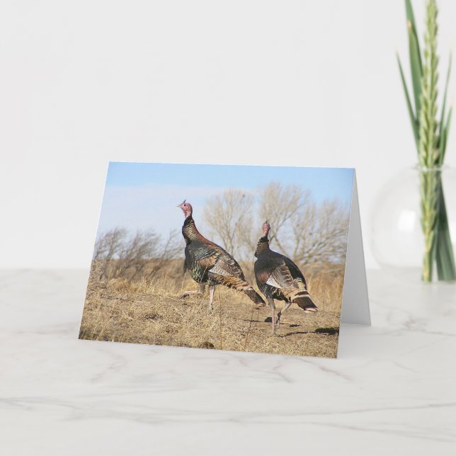 Die Türkei-Horizont Karte (Vorderseite)