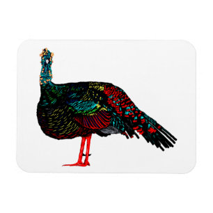 Die Türkei Magnet