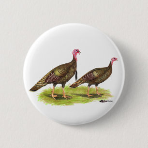 Die Türkei:  Wilde Bronze Button