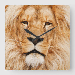 Die Uhr des Königs der Bestien-Quadrat