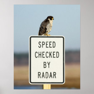 Die ultimative Ironie Poster