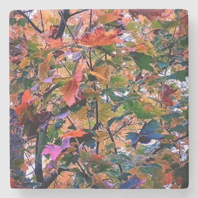 Die Umstellung auf Herbstblätter Steinuntersetzer (Vorderseite)