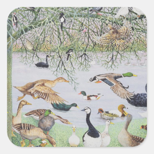 Die ungerade Ente Quadratischer Aufkleber (Vorderseite)