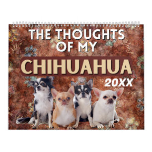 Die Unglaublich witzig Gedanken meines Chihuahua Kalender