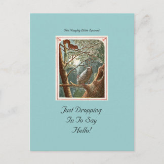 Die unheimlich kleine Eichhörnchen-Postkarte Postkarte