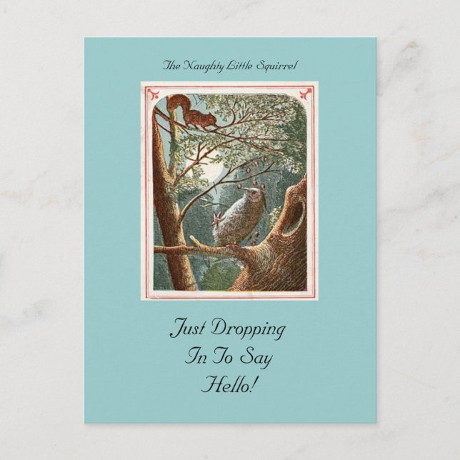 Die unheimlich kleine Eichhörnchen-Postkarte Postkarte (Vorderseite)