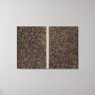 Die Universum-Atlas-Klassiker-Abdeckungen Leinwanddruck