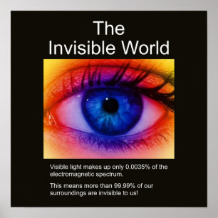 Die unsichtbare Welt Poster