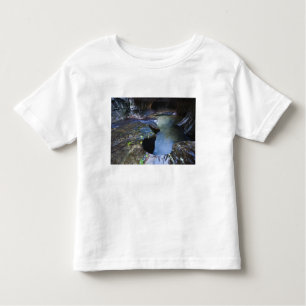 Die Untergrundbahnschlitzschlucht Kleinkind T-shirt