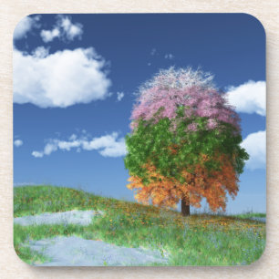 Die Untersetzer der Saison Tree Cork