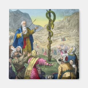 Die unverschämte Schlange, von einer Bibel Magnet