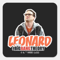 Die Urknalltheorie | Leonard