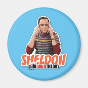 Die Urknalltheorie   Sheldon Magnet