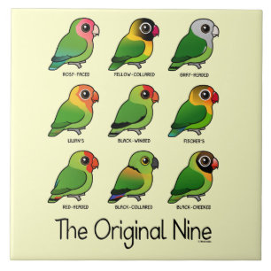 Die ursprünglichen neun fliese