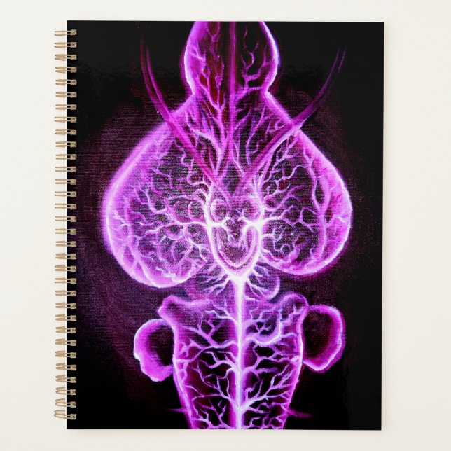 Die Vaskularisierung des Nervensystems in Roden Planer (Vorderseite)